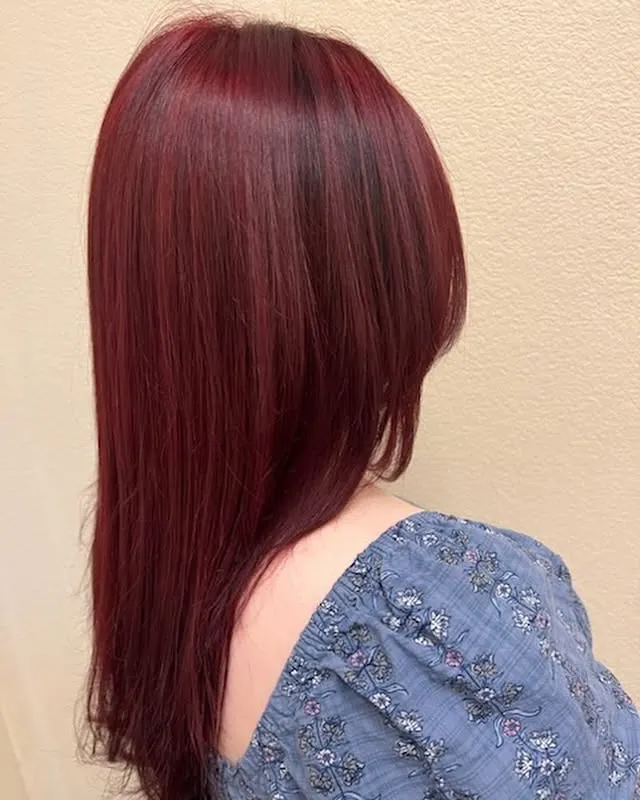 Deep red hair color transformation — Hair by Kleo